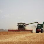 Rusia își amplifică livrările de cereale grație recoltelor din regiunile ucrainene aflate sub controlul său 2 rusia isi majoreaza exporturile de cereale cu recoltele din teritoriile ucrainene ocupate 68943e6fedfcd
