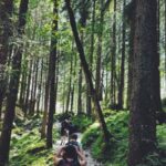Salvamont: Mai mult de 50 de aventurieri salvați din inima munților în ultimele 24 de ore! 3 salvamont peste 50 de persoane salvate de pe munte in ultimele 24 de ore 688f02fcb0d12