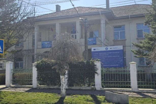 spatii culturale si recreative centrul multifunctional de tineret din negru voda prinde contur 68a6e1c38eb1a