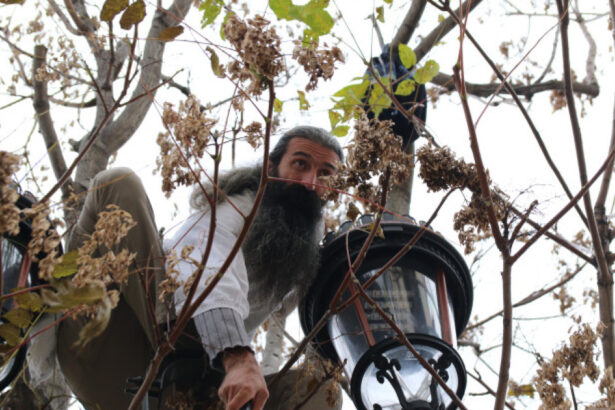 stegarul dac aflat in arest la rahova a escaladat un gard si s a urcat intr un pom intervin politisti negociatori si psihologi 688d29d07957c