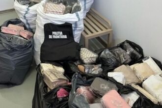 sute de genti susceptibile a fi contrafacute confiscate de politistii de frontiera la mangalia 689db4fb22dbc