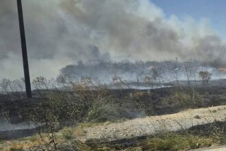trafic rutier oprit pe autostrada a2 bucuresti constanta in urma unui incendiu de vegetatie 6894850fe19b7