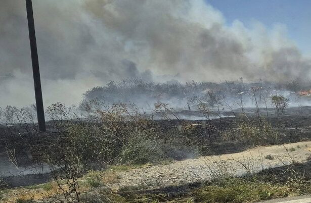 trafic rutier oprit pe autostrada a2 bucuresti constanta in urma unui incendiu de vegetatie 6894850fe19b7