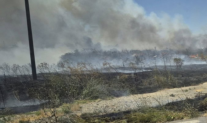 Autostrada A2 București-Constanța blocată din cauza unui incendiu de vegetație 1 trafic rutier oprit pe autostrada a2 bucuresti constanta in urma unui incendiu de vegetatie 6894850fe19b7