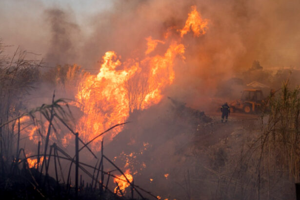 un incendiu de proportii arde necontrolat la sud est de atena 689621fded38a
