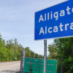 Un magistrat federal impune Floridei demolarea centrului de detenție Alligator Alcatraz în următoarele două luni. 2 un judecator federal ordona statului florida sa demoleze centrul de detentie alligator alcatraz in termen de 60 de zile 68a7ff555d077