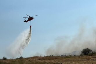 un nou incendiu de vegetatie uscata stuf si fond forestier in zona chilia veche judetul tulcea 68919f46aaa86