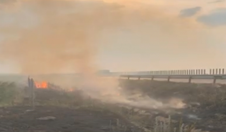 Un segment al autostrăzii A2 blocat temporar din cauza unui incendiu de vegetație 1 un tronson din autostrada a2 inchis temporar din cauza unui incendiu de vegetatie 6899e043c1156
