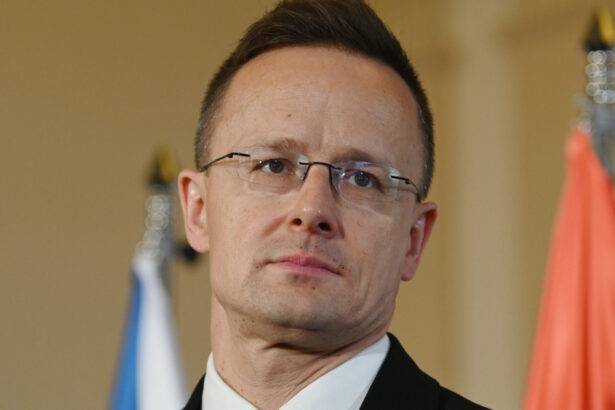 ungaria se ofera sa gazduiasca o reuniune trump putin zelenski szijjarto suntem incantati sa contribuim la eforturilor de pace 68a6d45ed7432