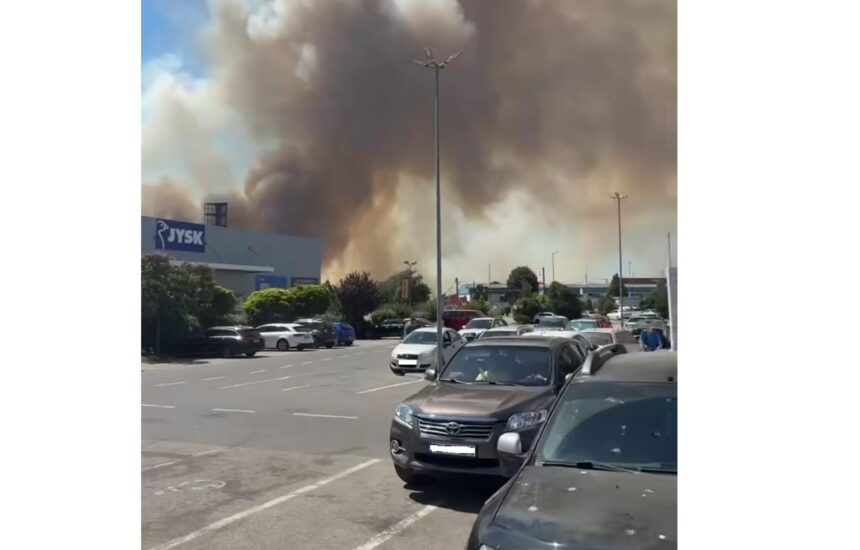 Flacări de alarmă în Medgidia: vegetația uscată se aprinde lângă școala nr. 2! 1 video alerta in medgidia arde vegetatia uscata langa scoala nr 2 68a1b7ee3118f