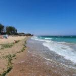 Amenzi pe bandă rulantă pentru turiștii români din Bulgaria care și-au parcat mașinile într-o zonă protejată. Ce pretexte aduc? 2 video amenzi pe banda rulanta pentru turistii romani din bulgaria care si au parcat masinile intr o arie protejata ce scuze invoca 6894f68c4fba1
