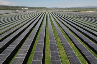 video china ridica cea mai mare ferma solara din lume sute de mii de oi fotovoltaice pasc sub panouri 68adc1cc94c72