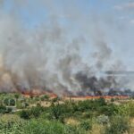 Incendiu devastator lângă Medgidia oprește traficul feroviar! 2 video circulatia feroviara suspendata dupa incendiul violent izbucnit langa medgidia 68a1e8e7ba05e