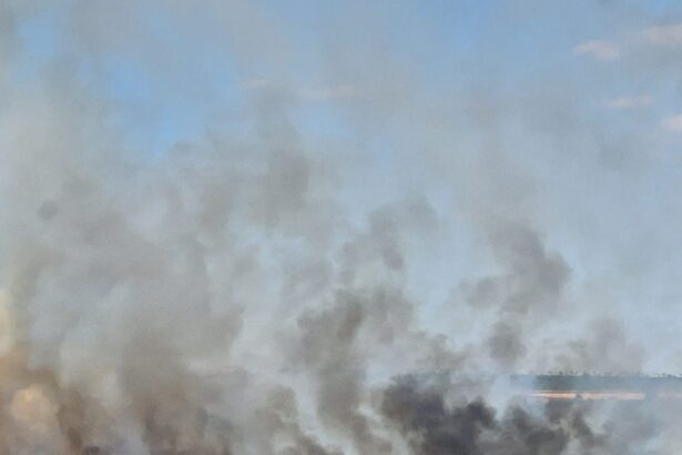 video circulatia feroviara suspendata dupa incendiul violent izbucnit langa medgidia 68a1e8e7ba05e