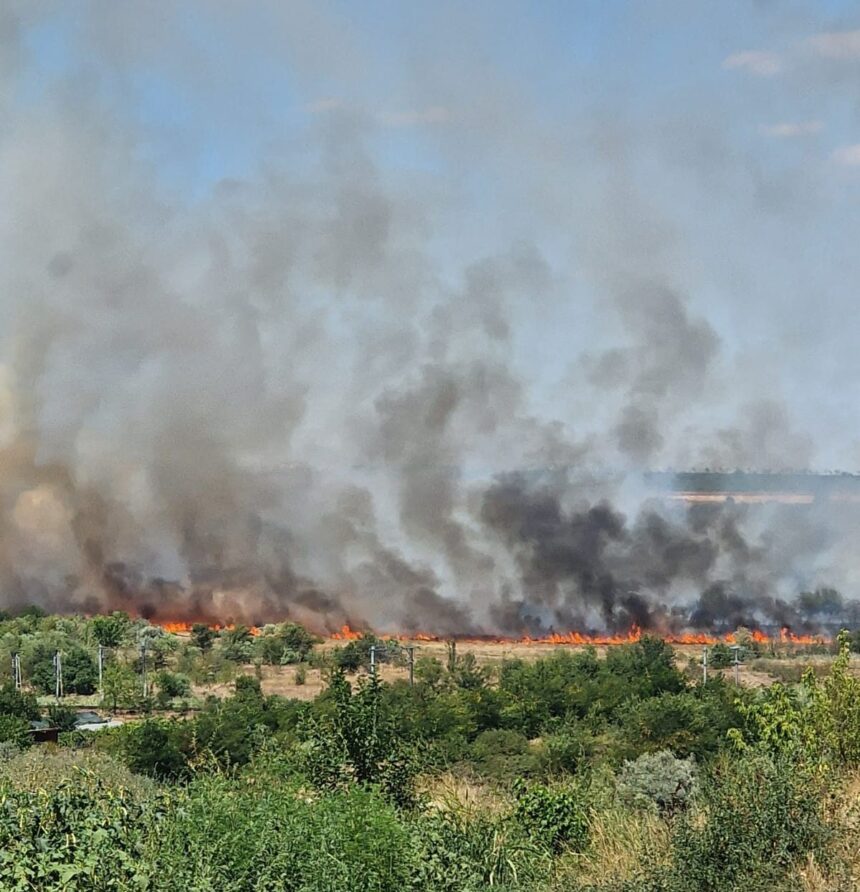 Incendiu devastator lângă Medgidia oprește traficul feroviar! 1 video circulatia feroviara suspendata dupa incendiul violent izbucnit langa medgidia 68a1e8e7ba05e