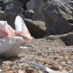 Plajele României la sfârșitul sezonului: O privire asupra mizeriei lăsate de turiști 3 video cum arata plajele din romania la final de sezon turistii au lasat in urma chistoace de tigari resturi alimentare si ambalaje 68ac7974727d2