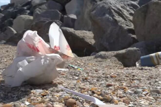 video cum arata plajele din romania la final de sezon turistii au lasat in urma chistoace de tigari resturi alimentare si ambalaje 68ac7974727d2