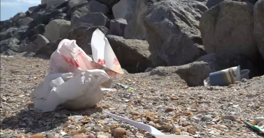 Plajele României la sfârșitul sezonului: O privire asupra mizeriei lăsate de turiști 1 video cum arata plajele din romania la final de sezon turistii au lasat in urma chistoace de tigari resturi alimentare si ambalaje 68ac7974727d2