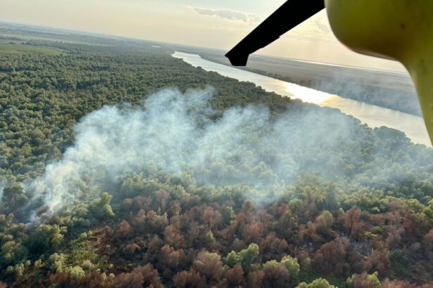 video elicopterul black hawk intervine in judetul tulcea ard mai multe hectare de vegetatie uscata stuf si fond forestier din chilia veche 6890e1814777a