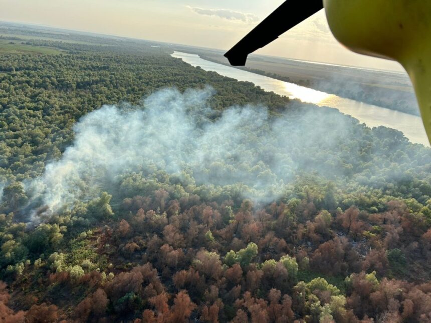 Elicopterul Black Hawk zboară în ajutorul Tulcei: Flăcările mistuie hectare de vegetație uscată și pădure în Chilia Veche 1 video elicopterul black hawk intervine in judetul tulcea ard mai multe hectare de vegetatie uscata stuf si fond forestier din chilia veche 6890e1814777a
