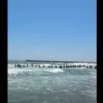 Gest impresionant la Jupiter: Turiștii s-au unit într-un lanț uman pentru a salva doi copii și un bărbat de 35 de ani din valurile plajei Delta 2 video emotionant turistii au facut lant uman la jupiter pentru a i scoate din valuri pe cei doi copii si barbatul de 35 de ani de pe plaja delta 68a077b591188