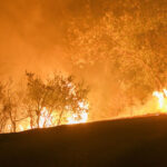 Franța se confruntă cu un devastator incendiu de vegetație în sud: un deces și nouă răniți în flăcările care mistuie pădurile. 2 video franta se lupta cu cel mai puternic incendiu de vegetatie de anul acesta ard padurile in sud un mort si 9 raniti 68938566a2bb3