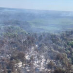 Flăcările din Delta Dunării: Pompierii luptă cu focul din cer și de pe apă 2 video incendii in delta dunarii pompierii incearca stingerea focului din aer si de pe apa 6898703da3276