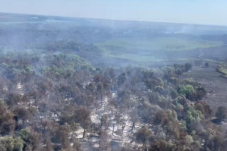 video incendii in delta dunarii pompierii incearca stingerea focului din aer si de pe apa 6898703da3276