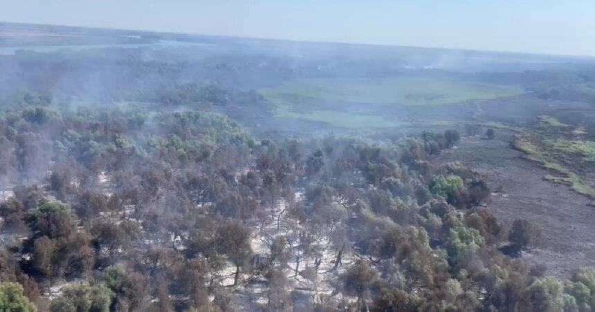 Flăcările din Delta Dunării: Pompierii luptă cu focul din cer și de pe apă 1 video incendii in delta dunarii pompierii incearca stingerea focului din aer si de pe apa 6898703da3276