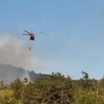 Foc nestăvilit în Tulcea: Flăcări pe 6 hectare în Chilia Veche, cu intervenția unui elicopter Black Hawk! 3 video incendiu de vegetatie in judetul tulcea flacari pe 6 hectare in zona chilia veche elicopter black hawk trimis la interventie 6890ea127308f