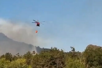 video incendiu de vegetatie in judetul tulcea flacari pe 6 hectare in zona chilia veche elicopter black hawk trimis la interventie 6890ea127308f