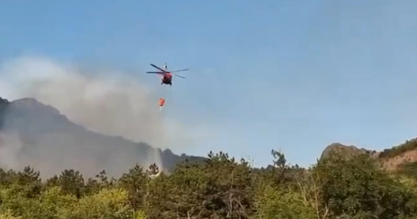 Foc nestăvilit în Tulcea: Flăcări pe 6 hectare în Chilia Veche, cu intervenția unui elicopter Black Hawk! 1 video incendiu de vegetatie in judetul tulcea flacari pe 6 hectare in zona chilia veche elicopter black hawk trimis la interventie 6890ea127308f