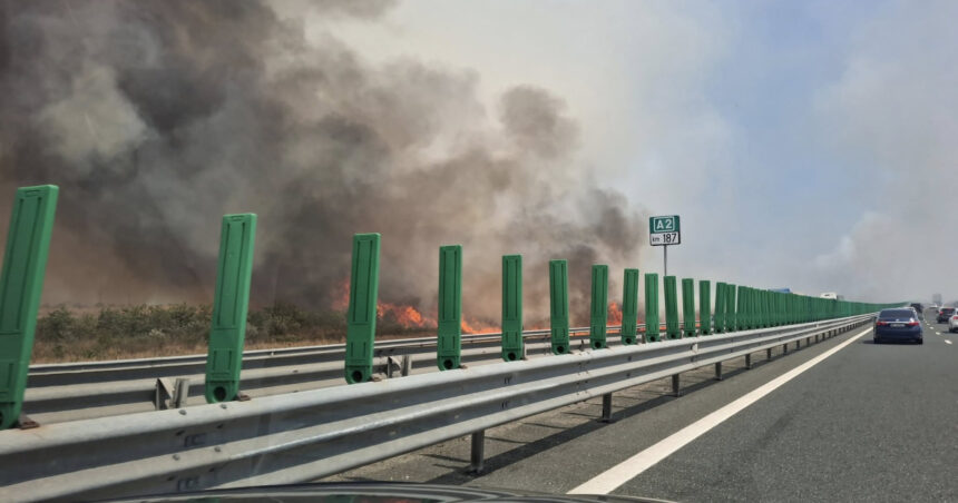 Flăcări devastatoare în apropierea Autostrăzii Soarelui: intervenția pompierilor cu forțe mari blochează circulația! 1 video incendiu de vegetatie langa autostrada soarelui pompierii intervin cu mai multe autospeciale traficul rutier oprit 688cb60a9d695