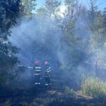 video incendiu in mahmudia judetul tulcea un incendiu de vegetatie uscata s a extins la anexe gospodaresti 68a740b9bc2e2