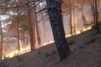 video incendiu pe coasta marii negre in apropierea vilei lui putin in urma prabusirii unei drone peste 100 de pompieri rusi mobilizati 68b1759acf020