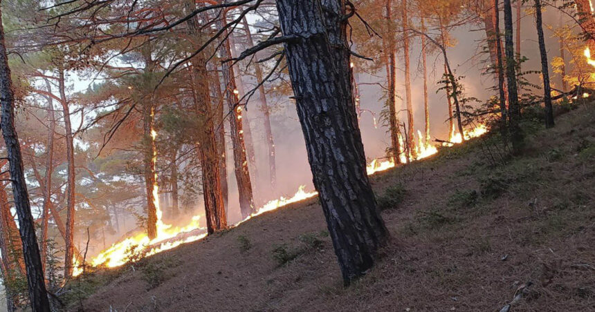 Flăcări pe țărmul Mării Negre: Incendiu devastator lângă vila lui Putin, provocat de prăbușirea unei drone – peste 100 de pompieri ruși intervin! 1 video incendiu pe coasta marii negre in apropierea vilei lui putin in urma prabusirii unei drone peste 100 de pompieri rusi mobilizati 68b1759acf020
