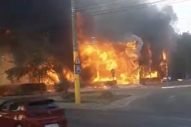 video incendiu violent la fostul club bellagio din mamaia cu degajari masive de fum si flacari de zeci de metri 6894d54c566ae