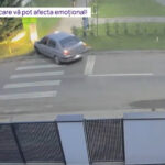 Un bărbat își ia mașina și invadează aleile parcului pentru a urmări bicicliștii! 2 video momentul in care un barbat intra cu masina pe aleile pietonale dintr un parc in urmarirea unor biciclisti 688cf18349e4e