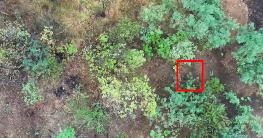 O echipă militară ucraineană a difuzat imagini surprinzătoare cu femei ruse angajate în lupte de intensitate maximă pe frontul de război. 1 video o brigada militara ucraineana a publicat un videoclip socant in care apar femei ruse luptand in unitati de asalt din prima linie 68908ebf1f68c