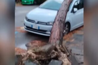 video o furtuna violenta a lovit rimini 68ac187958a30