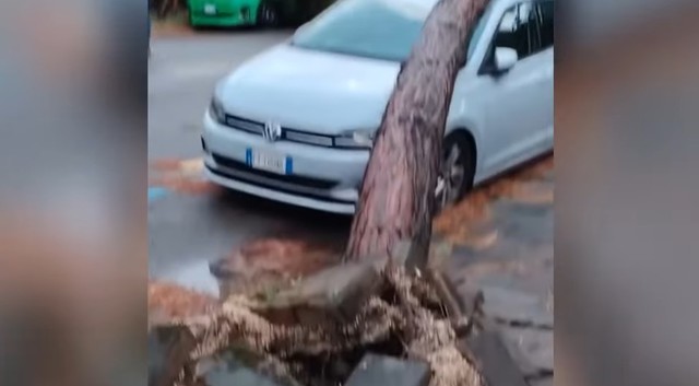 Rimini, sub asediul unei furtuni furioase! 1 video o furtuna violenta a lovit rimini 68ac187958a30