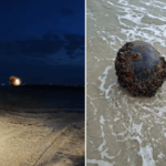 O mină navală a fost găsită pe plaja din Vadu și a fost neutralizată cu succes. 2 video o mina marina a fost descoperita pe plaja de la vadu aceasta a fost neutralizata 68b492947136f
