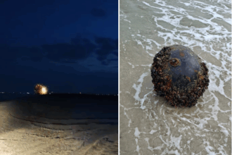 video o mina marina a fost descoperita pe plaja de la vadu aceasta a fost neutralizata 68b492947136f