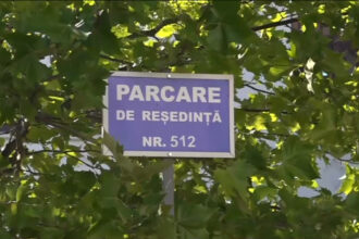 video orasul in care pretul parcarii pe timp de zi se tripleaza primar proiectele noastre promovate de guvern nu isi mai gasesc finantare 68981bd41caf0