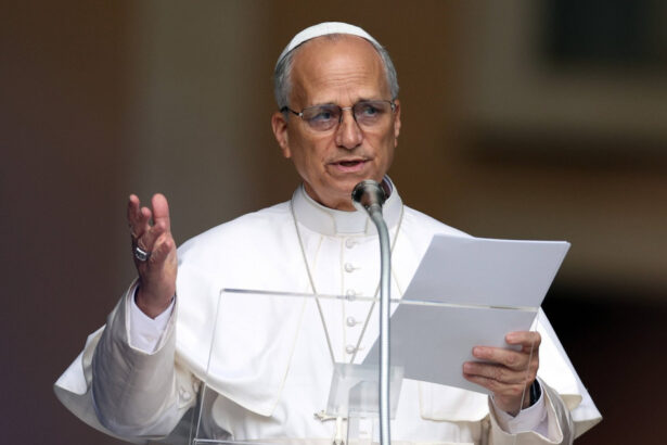 video papa leon apel la incetarea razboiului din ucraina binele comun al popoarelor sa fie intotdeauna pe primul loc in negocieri 68a2258e9644f