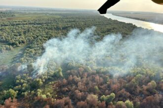 video pompierii din tulcea continua lupta cu flacarile la chilia veche elicoptere black hawk au efectuat peste 133 de aruncari cu apa 68962e8c1b6c1