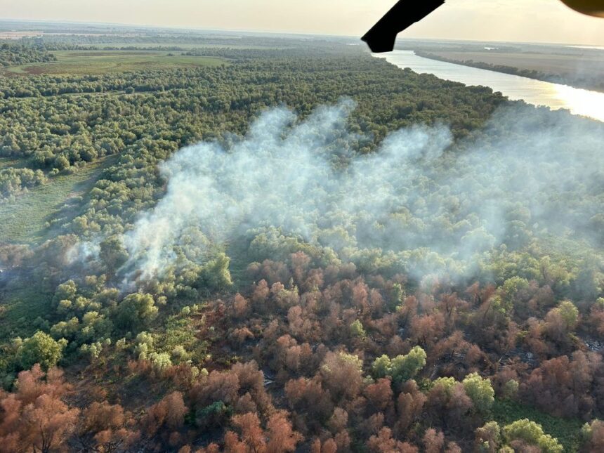 Pompierii din Tulcea intensifică bătălia împotriva incendiilor în Chilia Veche, cu sprijinul elicopterelor Black Hawk, care au realizat peste 133 de intervenții cu apă. 1 video pompierii din tulcea continua lupta cu flacarile la chilia veche elicoptere black hawk au efectuat peste 133 de aruncari cu apa 68962e8c1b6c1