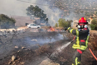 video pompierii romani avertizeaza peste 250 de incendii au izbucnit in doar 24 de ore cate hectare au ars si ce i se recomanda populatiei 689afaa70db46