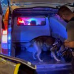 "Acțiuni masive ale poliției în Constanța, Mamaia, Agigea și Cumpăna: 100 de șoferi amendați!" 3 video razii de amploare in constanta mamaia agigea si cumpana politistii au sanctionat 100 de soferi 68a1c5b5b61c0