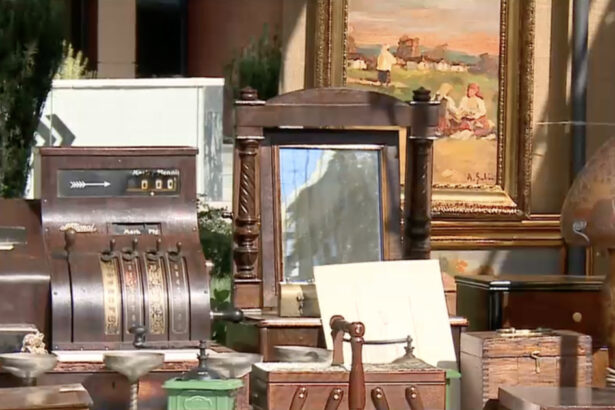 video saga unei opere de arta furate dintr o expozitie din capitala vanduta pe 50 de euro intr un targ a ajuns in cele din urma la autoare 688dcb9e97c4b